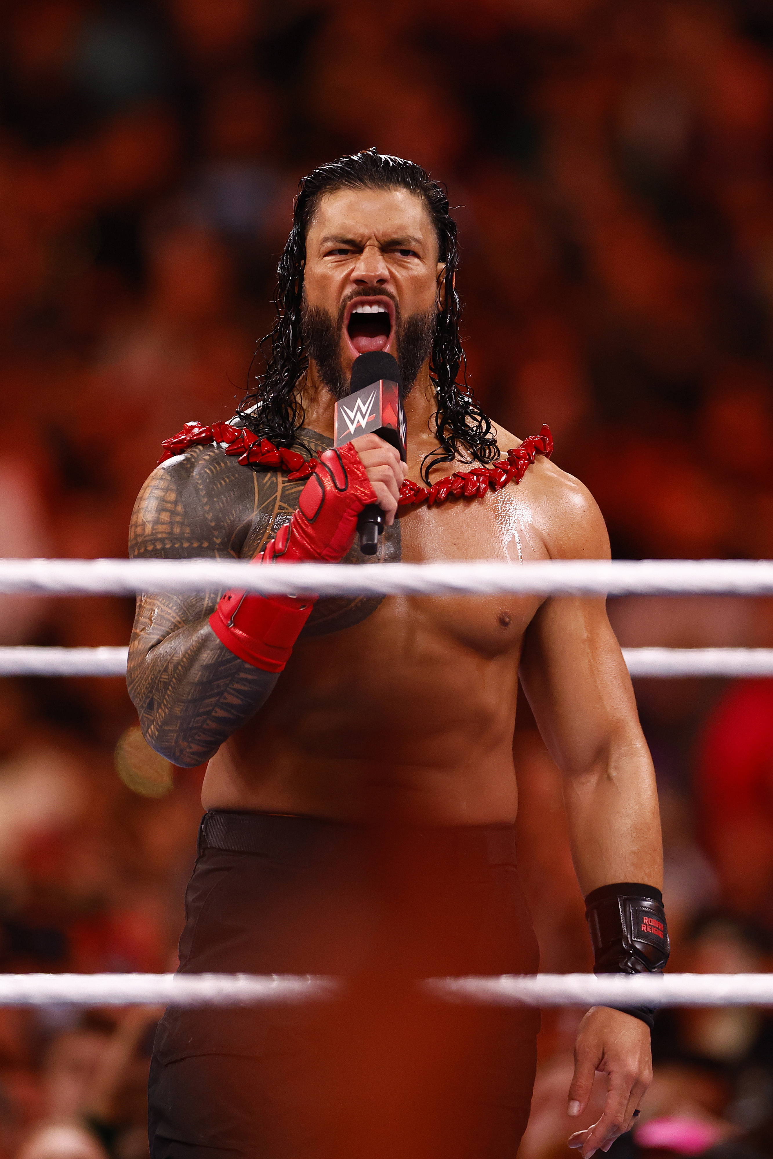 Reigns has the chance to surpass Hulk Hogan as the second-longest-reigning world champion