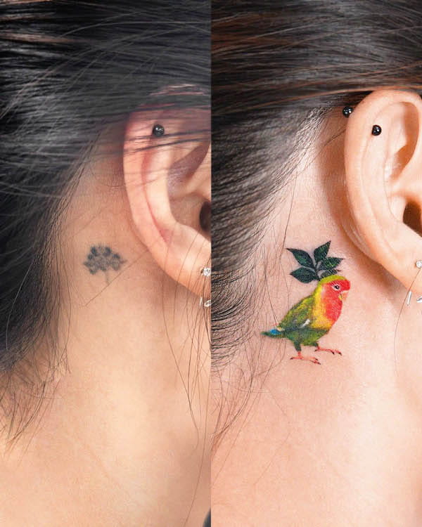 Cover-up bird tattoo behind the ear by @tattooist_fluffy