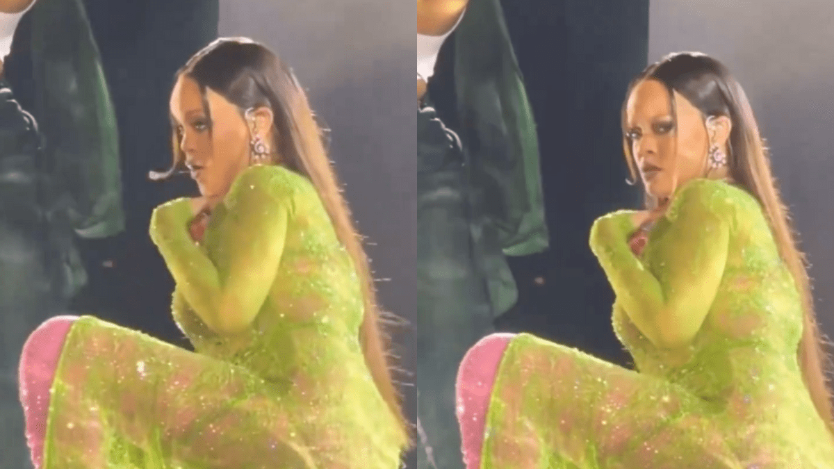 Fans Divided Over Rihanna's Performance At Huge Indian Wedding