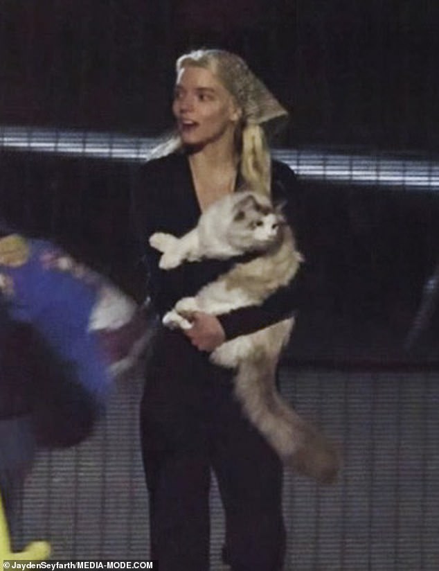 The Queen's Gambit star Anya Taylor-Joy was spotted cuddling her beloved ivory kitten Kitsune after she touched down at Sydney airport on Sunday evening following a quick trip away