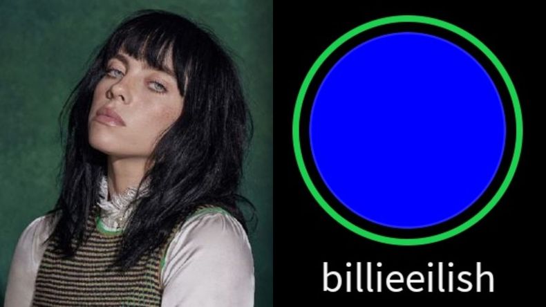 Billie Eilish agregó a todos sus seguidores a mejores amigos de Instagram:  qué pasó