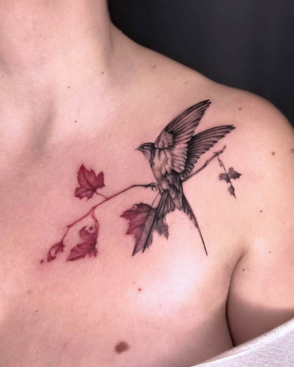 Maple leaves and swallow by @jonnycasa