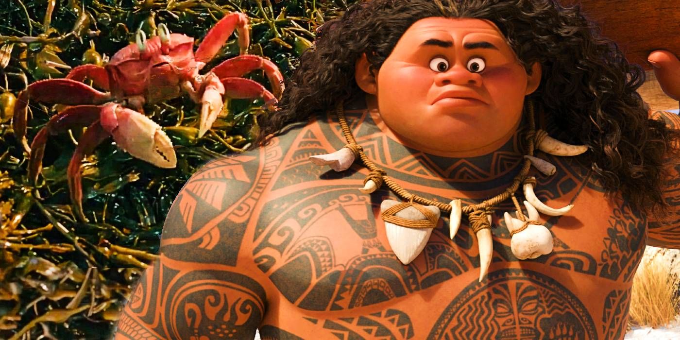 Sebastian from 2023's The Little Mermaid remake and Maui (Dwayne "The Rock" Johnson) from Moana 
