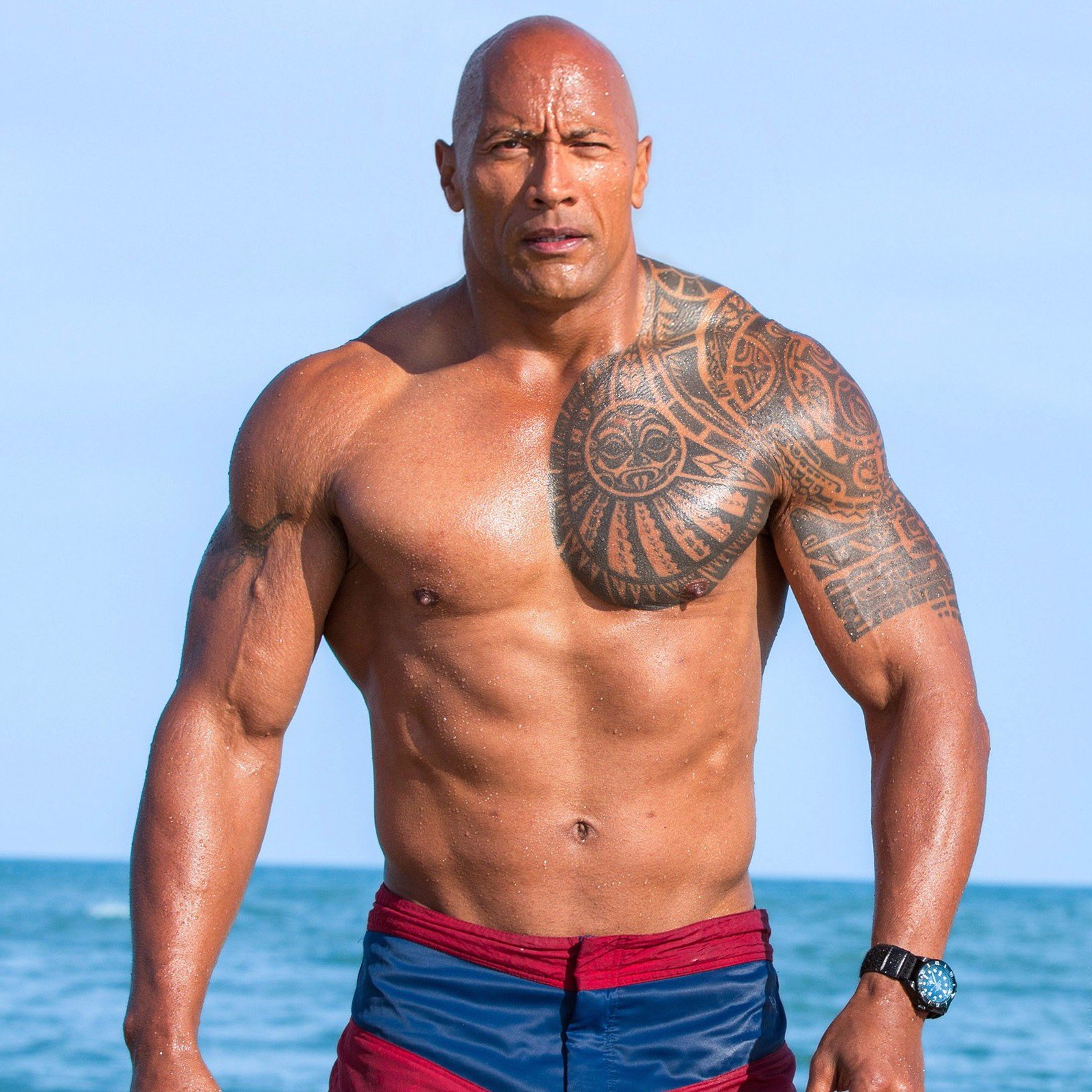 The Rock's incredible body transformation: 25 years on from WWE debut, the  2000 Royal Rumble champion looks absolutely jacked and eats enough to feed a  family for days | talkSPORT