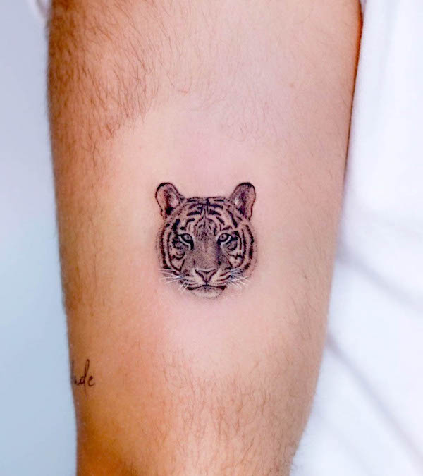 Tiny realistic tiger tattoo by @erikobi_tattoo