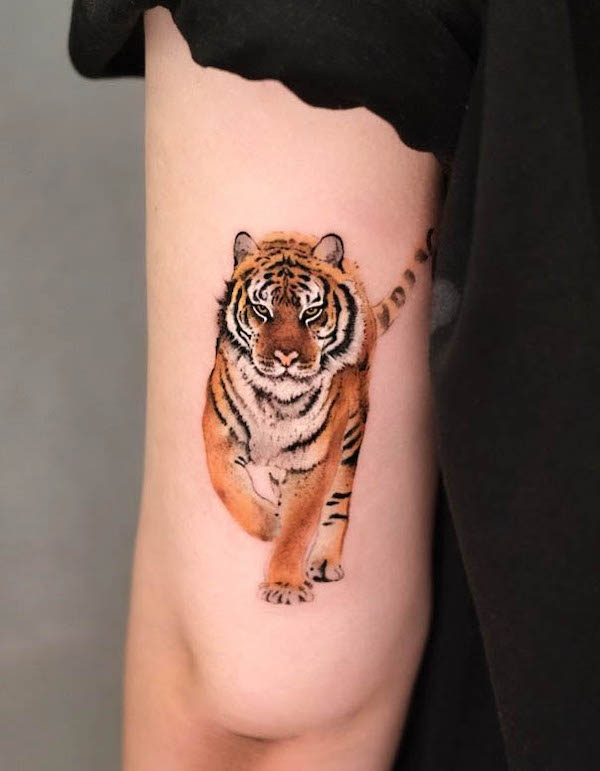 Realistic tiger upper arm tattoo by @chenjie.newtattoo