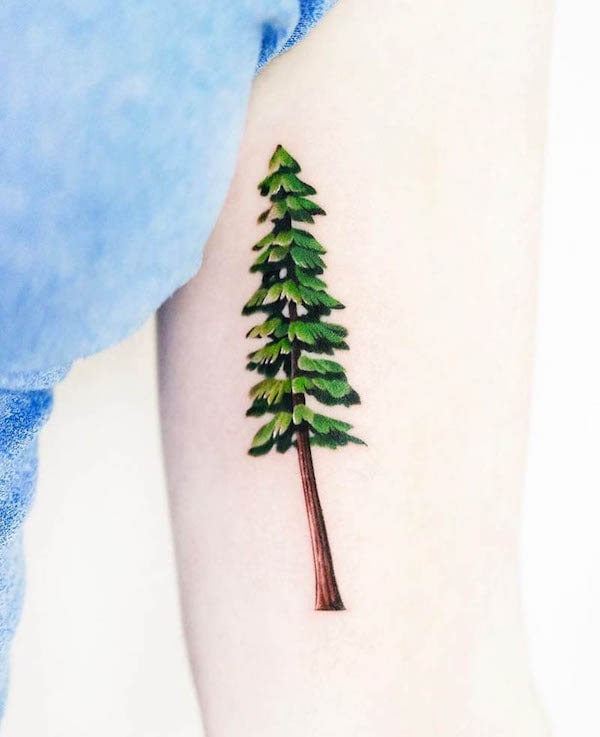 Tree tattoo on the bicep by @foret_tattoo