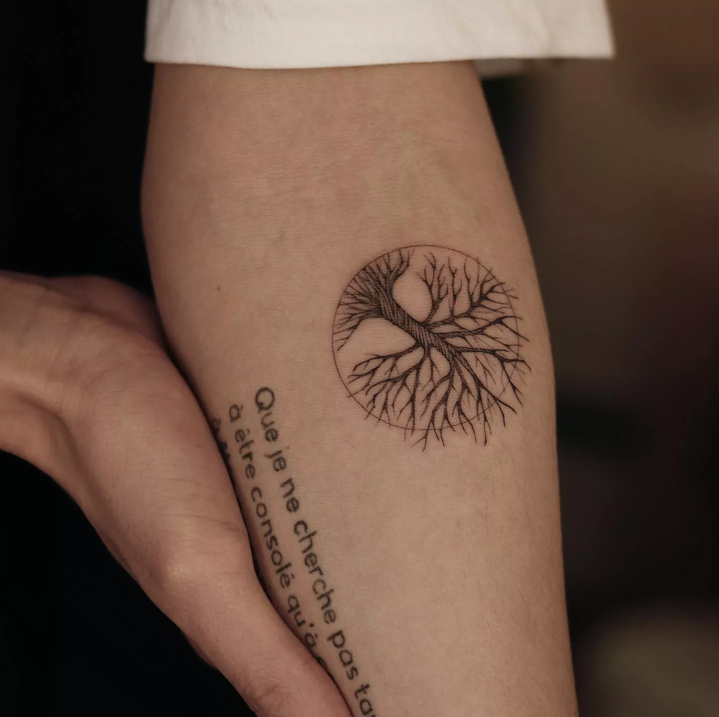 Close up of a tree in a circle tattoo