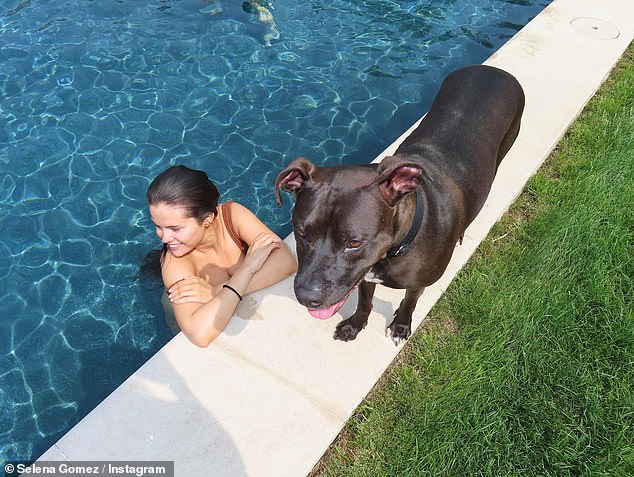 Poolside: The last image showed Gomez taking a dip in the pool as a huge black dog stood next to her on the ground