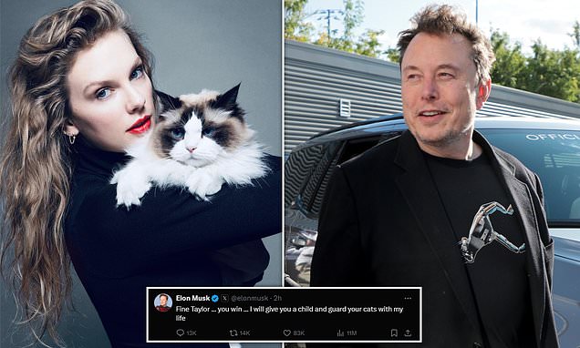 Elon Musk bizarrely offers to impregnate Taylor Swift hours after she  endorsed Kamala Harris with statement signed off 'Childless Cat Lady' |  Daily Mail Online