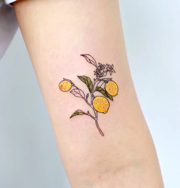 Black and colored fruit tattoo by @tattoo_joojoo